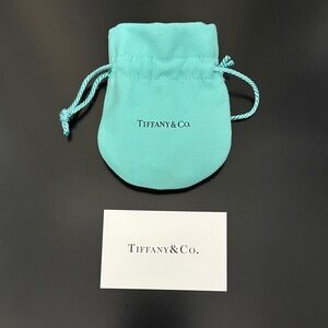 Tiffany & Co. Aqua Jewelry Pouch
